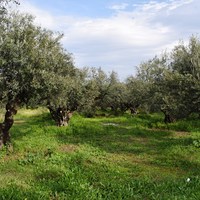 Земельный участок в Греции, Крит, Ханья