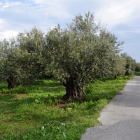 Земельный участок в Греции, Крит, Ханья