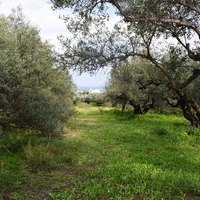 Земельный участок в Греции, Крит, Ханья