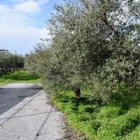 Land plot in Greece, Crete, Chania