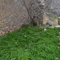 Другое в Греции, Крит, Ираклион, 40 кв.м.