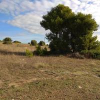 Земельный участок в Греции, Центральная Македония, Центр