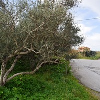 Земельный участок в Греции, Крит, Ханья