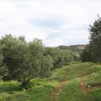 Земельный участок в Греции, Крит, Ханья