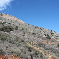 Land plot in Greece, Crete