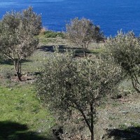 Земельный участок в Греции