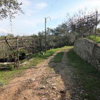 Other in Greece, Ionian Islands, 130 sq.m.