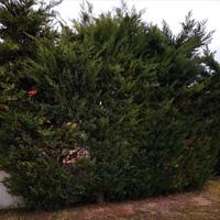 Другое в Греции, Центральная Македония, Центр, 90 кв.м.