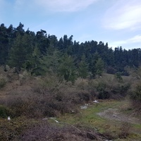 Земельный участок в Греции, Центральная Македония, Центр