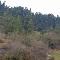 Земельный участок в Греции, Центральная Македония, Центр