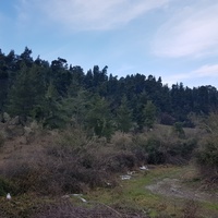 Земельный участок в Греции, Центральная Македония, Центр