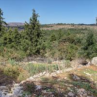 Land plot in Greece, Crete, Chania