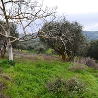 Other in Greece, Crete, Irakleion, 83 sq.m.