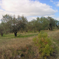 Land plot in Greece, Central Macedonia, Center