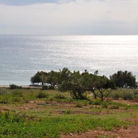 Land plot in Greece, Crete