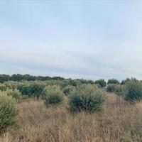 Land plot in Greece, Central Macedonia, Center, 580 sq.m.