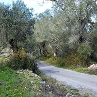 Land plot in Greece, Ionian Islands