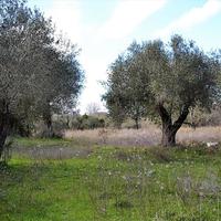 Land plot in Greece, Ionian Islands