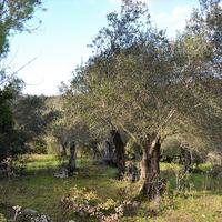 Land plot in Greece, Ionian Islands