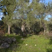 Land plot in Greece, Ionian Islands