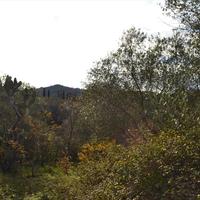 Land plot in Greece, Ionian Islands