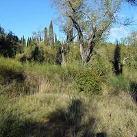 Land plot in Greece, Ionian Islands