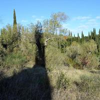 Land plot in Greece, Ionian Islands