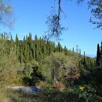 Land plot in Greece, Ionian Islands
