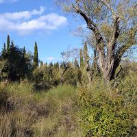 Land plot in Greece, Ionian Islands