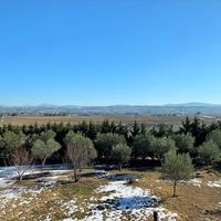 Villa in Greece, Central Macedonia, Center, 470 sq.m.