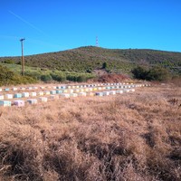 Land plot in Greece, Central Macedonia, Center