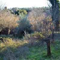 Земельный участок в Греции, Ионические острова