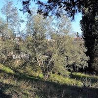 Земельный участок в Греции, Ионические острова