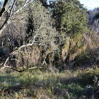 Земельный участок в Греции, Ионические острова