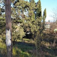 Земельный участок в Греции, Ионические острова