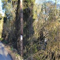 Земельный участок в Греции, Ионические острова