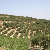 Land plot in Greece, Crete, Irakleion