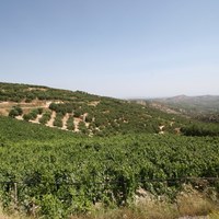 Land plot in Greece, Crete, Irakleion