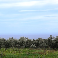 Земельный участок в Греции, Крит