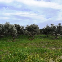 Земельный участок в Греции, Крит