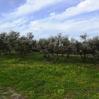 Земельный участок в Греции, Крит