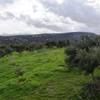 Земельный участок в Греции, Крит