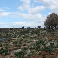 Land plot in Greece, Crete