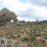 Land plot in Greece, Crete