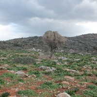 Land plot in Greece, Crete