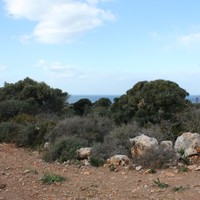 Land plot in Greece, Crete