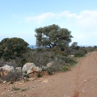 Land plot in Greece, Crete