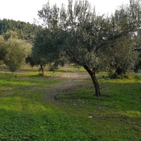 Земельный участок в Греции, Центральная Македония, Центр