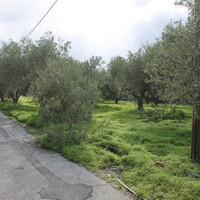 Land plot in Greece, Crete