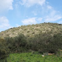 Land plot in Greece, Crete